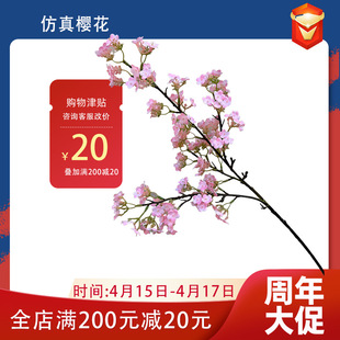 �ѻ����滨�һ�֦��ɫ���滨���������҃��b�֦�쾰�羳�ɴ��l