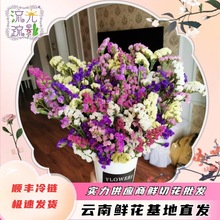 勿忘我鲜花云南昆明直批发鲜切花风干真花称斤卖婚庆摆摊配花团购