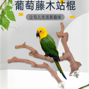 �B����Bվ��վ�Uվ���B��ľ�B��Ʒ��Ȼ�������ľ�W�^����B�\