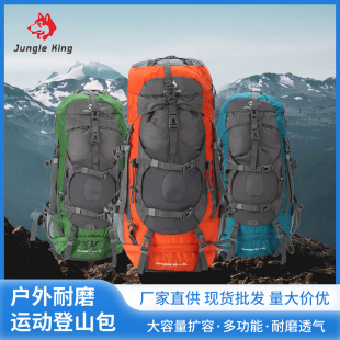 Outdoor Backpack Wear-Resistant Sports Hiking Bag Large Capacity Travel Backpack Professional Mountaineering Bag 45/55L