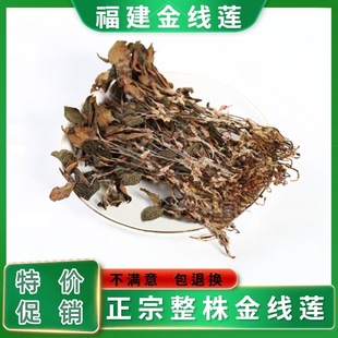 ������ɏ��ɼtϼ�����ɏ���~��Ұ����ș����ƽ���a��؛���l