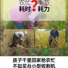 СոˮũС͸Ȼʽɽ׳ݻ