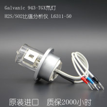 ΤGalvanic 943-TGX뮵 H2S/SO2ֵL6311-50