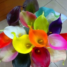 ���Q ���滨���l ����ֲ�� �ɫ�� �R��ɏ ����pu�R��ɏ