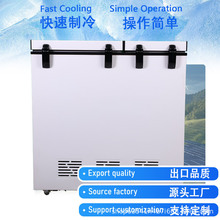冷柜铜管Foaming Door Electric Freezer冷冻冷藏商用冰箱2021款