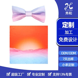 领带;丝巾;领结/领花