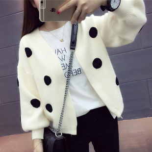 2025�괺���¿���������_���r�����⌒�ɲ��cᘿ�������_������