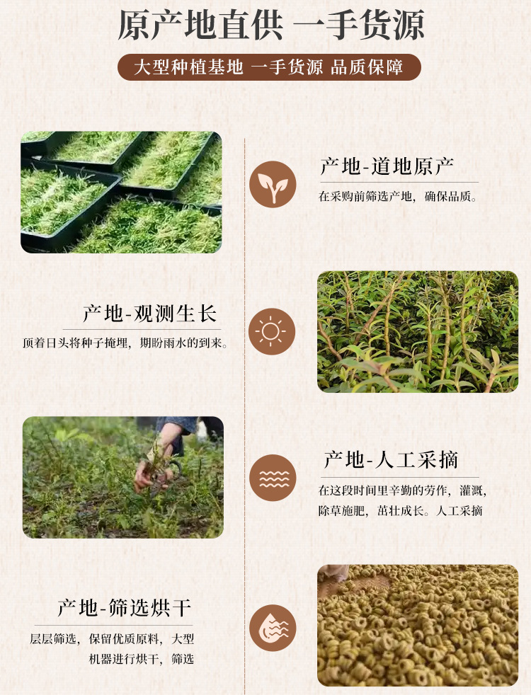 Tie Pi Shi Hu Dendrobium Officinale Feng Dou Dried Herb Gift Box Ready to Eat 500g quality and texture