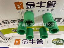 供应 金牛PPR水管 20 ppr直接  翡翠绿   正品保障   厂家批发