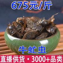 ţ��x ��� ţ� ţ���� ä�x â�x ţ�nω���l���l