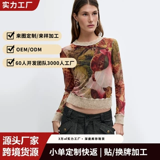 欧美跨境爆款一字领条纹网纱长袖上衣弹力修身显瘦性感百搭打底衫