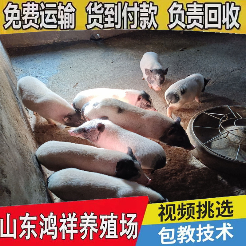 e7feafe8d9824e75aed91584fd5faf