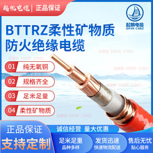 �S�����l����|0.61kV-BTTRZ���ԵV���|����^�������~о��|