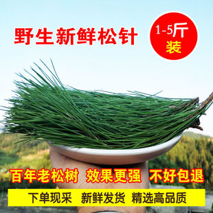 东北松针茶新鲜松针叶红松针黑松针马尾松针酵素500g包邮-阿里巴巴