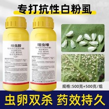白粉虱专用药30%噻虫嗪+20呋虫胺辣椒番茄西红柿茄子白粉虱杀虫剂