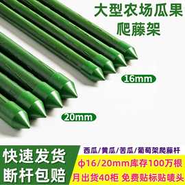 批发包塑钢管植物花支撑架葡萄黄瓜爬藤杆农场庭院花架阳台爬藤架