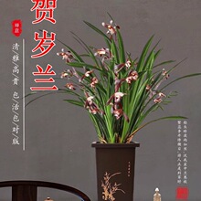 ī�m���Ԏ������R�q�m������ڽ�߅���m���m����Gֲ�҃Ȼ�������