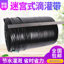 rôιԌm߲˹@GˮܹˮĤµιN16