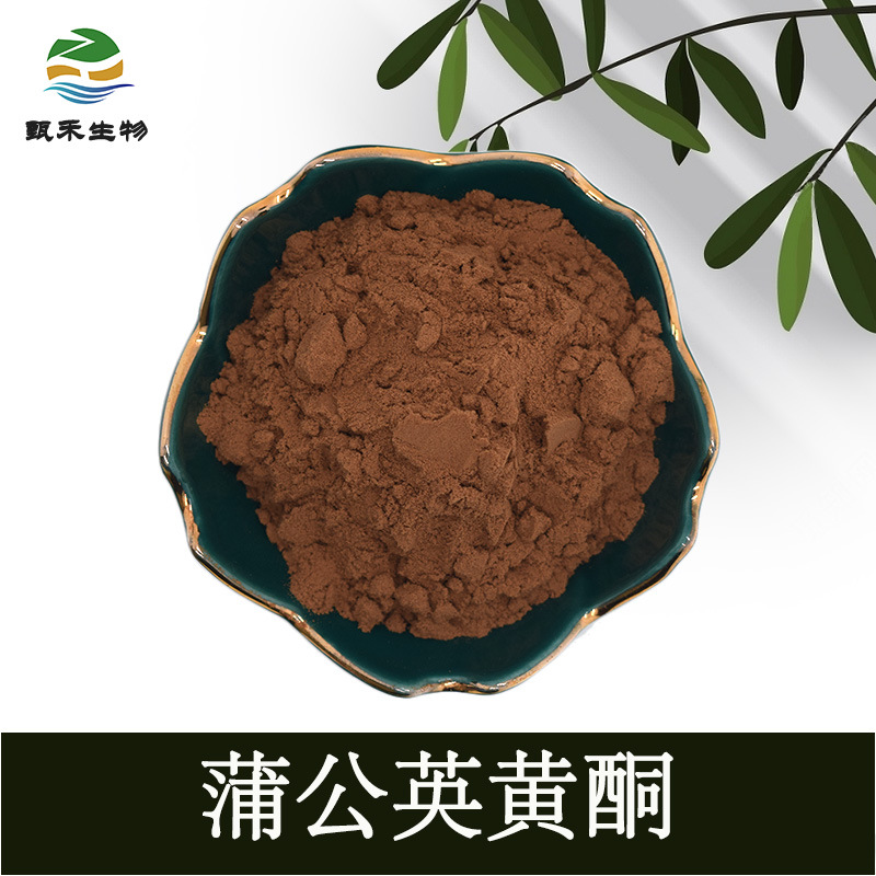 甄禾  蒲公英提取物 蒲公英黄酮1%-4% 蒲公英粉 水溶 喷雾干燥