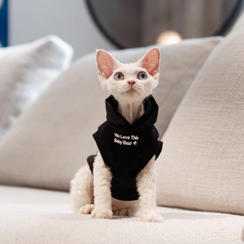 In-Stock Trendy Popular Pet Cat Devon Sphynx Clothing Creative Letter Hooded Sweatshirt Wholesale In-Stock Trendy Popular Pet Cat Devon Sphynx Clothing Creative Letter Hooded Sweatshirt Wholesale