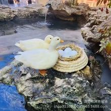 п wBֳ껥ӿ r С ܾ