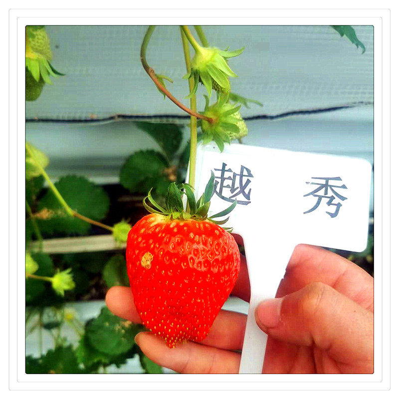 045d33018491e4c041c978f1fa3361