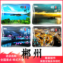 ���ϳ��ݱ����N�|����θ��ΎX�����çɽ��ָ��ԣ��ְ��ȱ����N