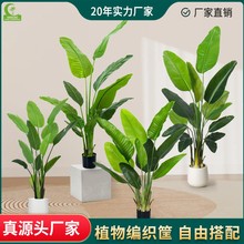 跨境专供高级感仿真旅人蕉160cm绿植假绿植大盆栽室内仿真植物
