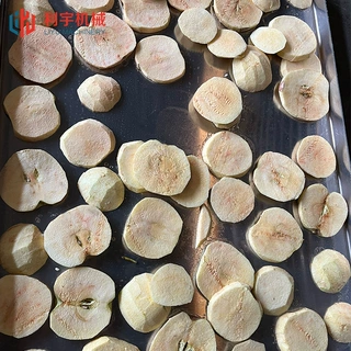 苹果片西瓜哈密瓜片低温干燥机 果蔬脆真空冻干机 牛羊肉冻干设备
