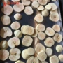 低温冻干真空哈密瓜干燥机