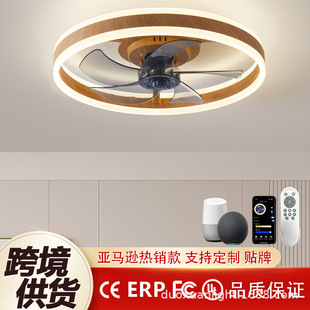 Cross-Border Alexa Speaker Control 110V Fan Ceiling Lamp Bedroom Fan Lamp Restaurant Living Room Smart Voice Control