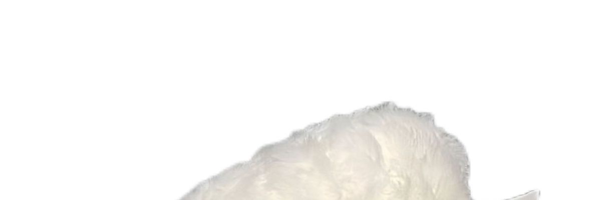 Sean Little Lamb's hanging tissue box is suitable for car use, as an in-car decoration for the armrest box