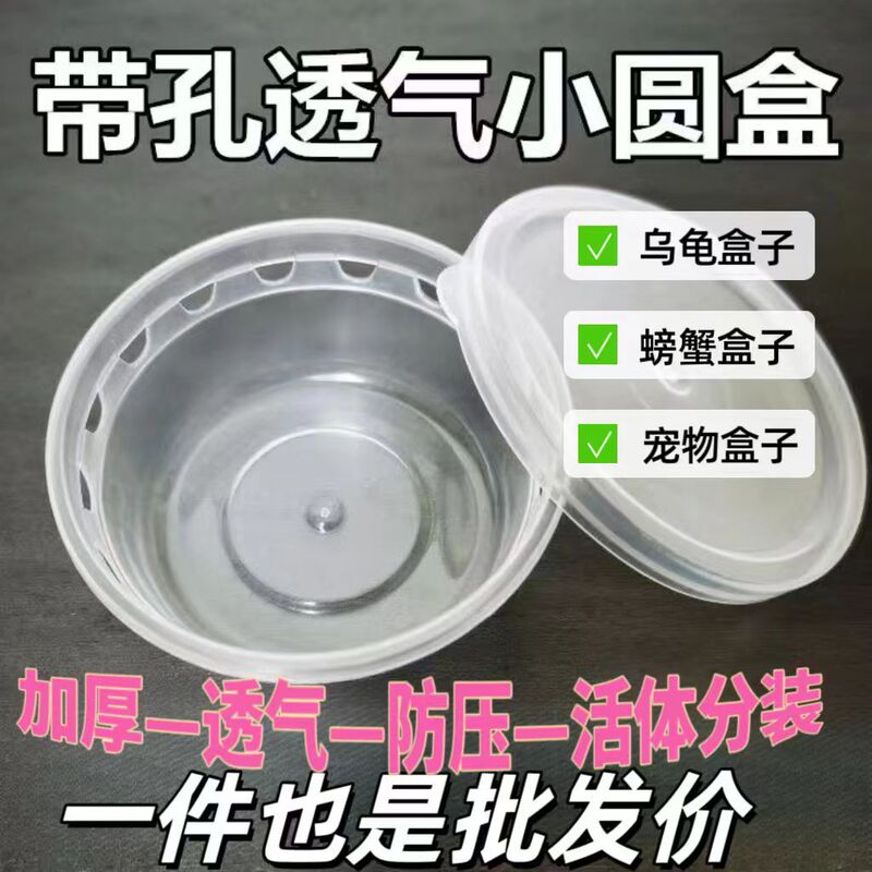 Breathable Boxes for Stalls, Turtle Boxes, Brazilian Turtle Boxes, Crab Boxes, Packaging Boxes, Silkworm Baby Plastic Boxes Breathable Boxes for Stalls, Turtle Boxes, Brazilian Turtle Boxes, Crab Boxes, Packaging Boxes, Silkworm Baby Plastic Boxes