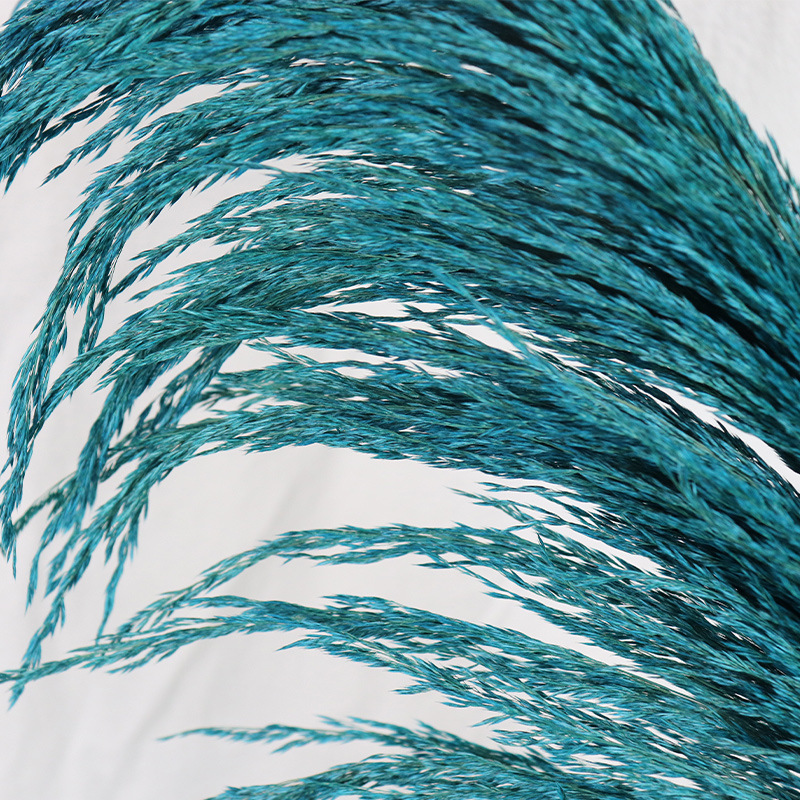 70 위 푸른 꽃 스파이크