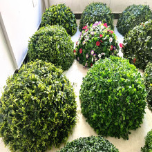 仿真米兰草球圆球楼盘园林井盖遮挡遮黄杨球卫矛球灌木绿化苗木