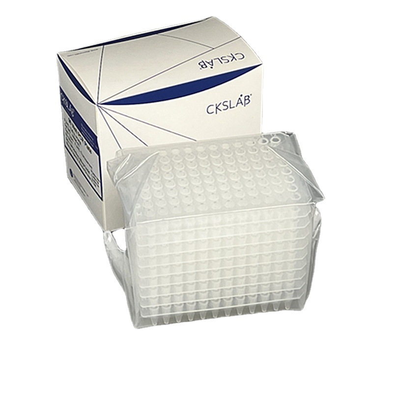 点睿CKSLAB希开  96孔PCR板 无裙边  0.2ml 透明 NS96-02 10片/盒