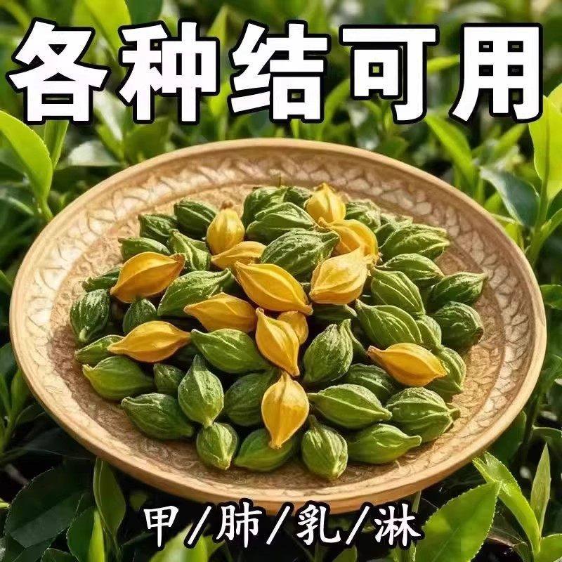 Nodule Care Herbal Tea Bag Blend 21 Herb Dandelion Formula 150 Bags Daily Wellness Tea quality and texture