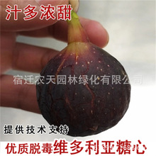 ·��˹�o��������󲨼��t�������ϱ���ͥԺ�Nֲ���Ե��Ԯ���Y��