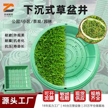 复合树脂草盆井下沉式高分子植草井绿化带隐形装饰绿色草坪井盖