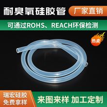 �S�Ҷ��Ƴ����l�����͹��z���������|�͸ߜ�͸����������