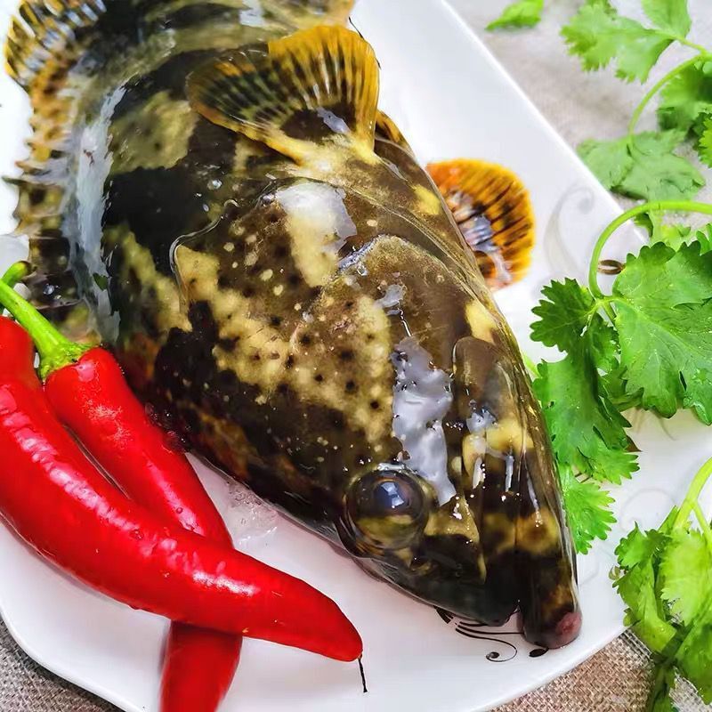 O1CN01oeLxgS2Em2eNZEPX1_!!2215