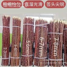 tt⺞ľ⴮ꌣüt½Ӽt֦