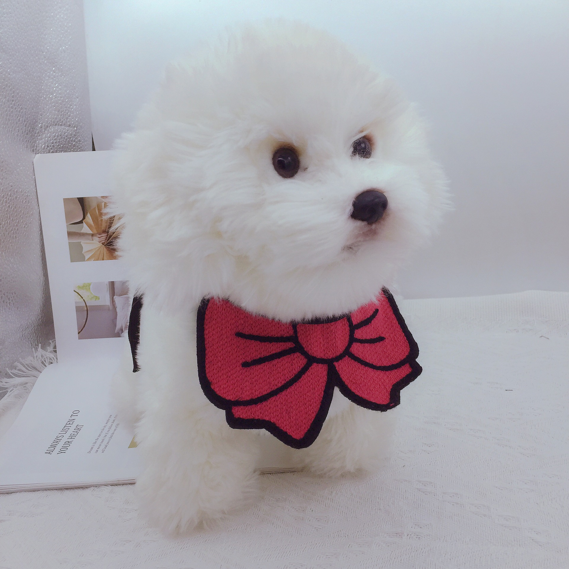 INS韓國可愛寵物口水巾法斗柯基比熊貓咪圍兜編織小型犬配飾