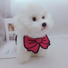 INS韓國可愛寵物口水巾法斗柯基比熊貓咪圍兜編織小型犬配飾