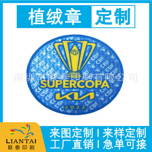 Customized Tatami Cloth Clothing Hot Stamping Flocking, Shoe and Hat Flocking Hot Stamping