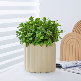 ���r�������ԝ����;Gֲ���m���ļ������҃ȿ�ˮ���̨���Bֲ���