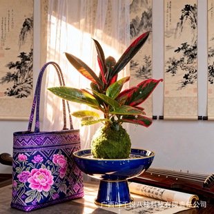 �~ǧ�~��Ƥ�Ř��҃ȾGֲ���B�׻�����՚���լ������