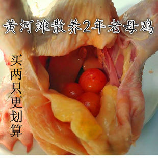 �����r��ɢ�B2�����u��ĸ�u����Ȼ�S�����u���u���u�����u�ߵ��u