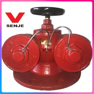 Spot Tianguang Pump Adapter SQD100-1.6 underground pump adapter SQS150-2.5 (copper buckle)