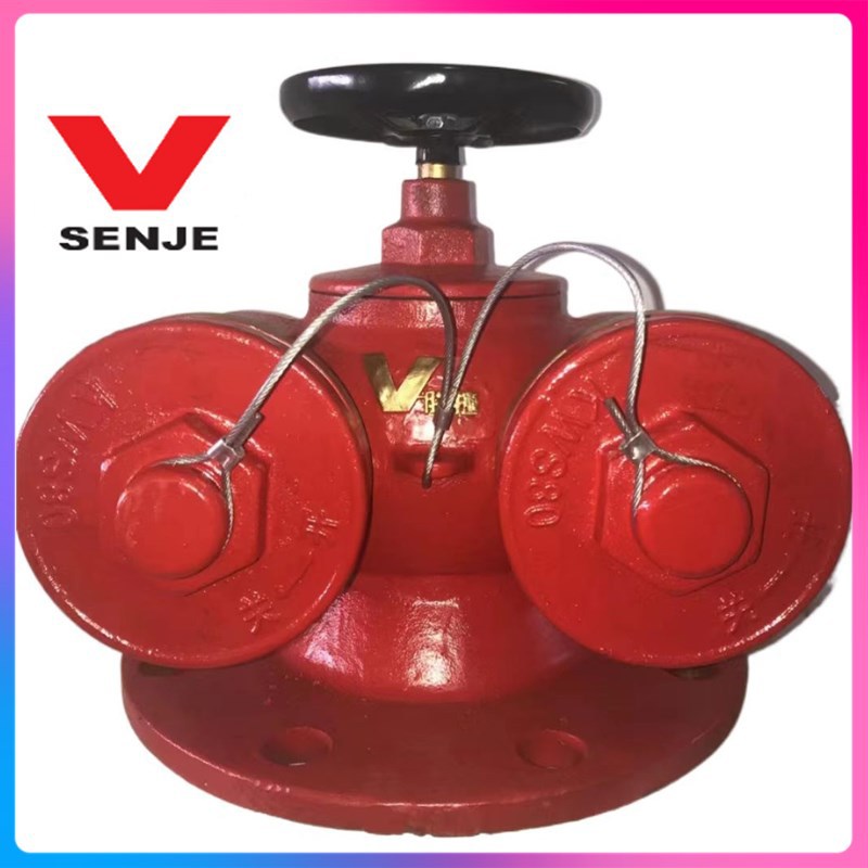 现货天广水泵接合器SQD100-1.6地下水泵接合器SQS150-2.5（铜扣）